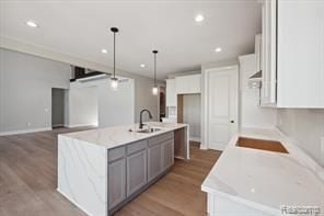 kitchen featuring light wood-style floors, a sink, an island with sink, and a barn door