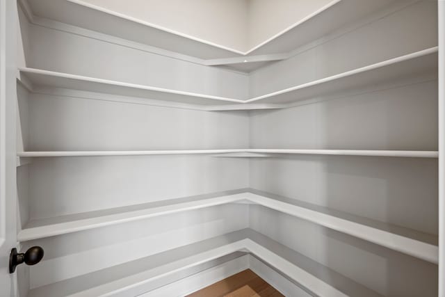 35689 Windridge Dr, New Baltimore, MI 48047 - view of pantry