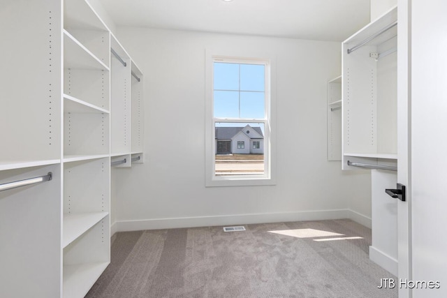 8123 Byron Depot Dr SW, Byron Center, MI 49315 - walk in closet with carpet