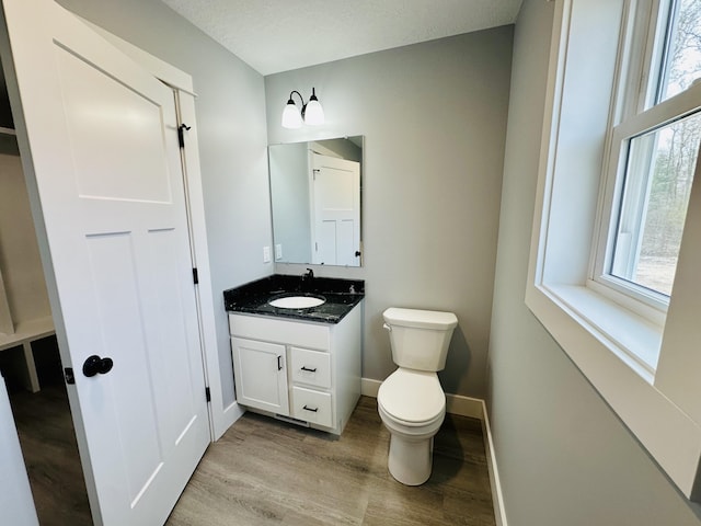 2653 Mclaughlin Ave, Muskegon, MI 49442 - bathroom with toilet, a healthy amount of sunlight, wood finished floors, and vanity