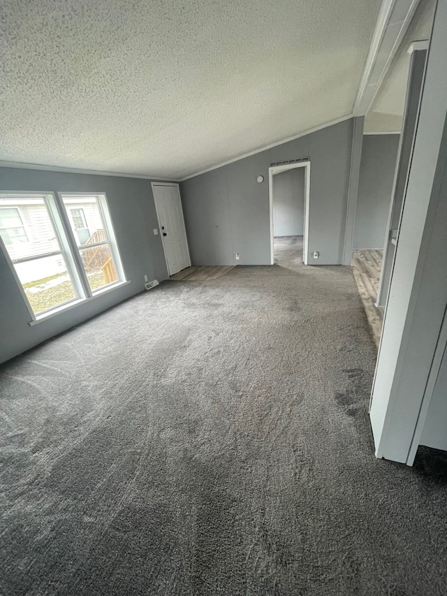 empty room featuring carpet and a textured ceiling