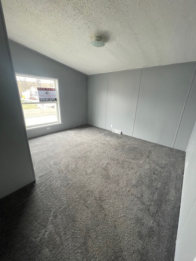 spare room featuring lofted ceiling, carpet, visible vents, and a textured ceiling