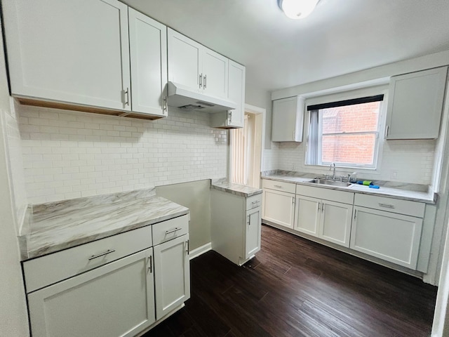 kitchen featuring dark wood finished floors, light countertops, decorative backsplash, a sink, and under cabinet range hood