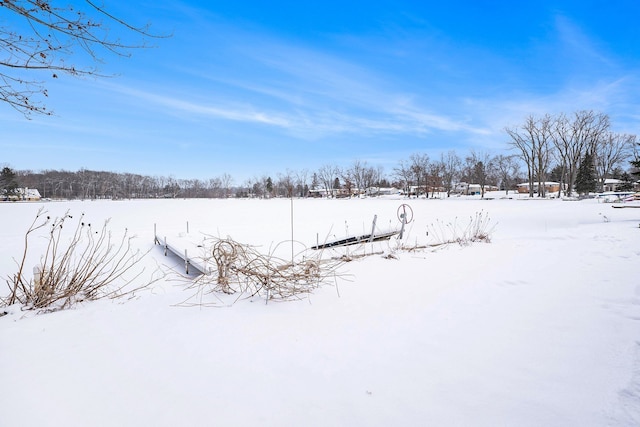 view of yard covered in snow