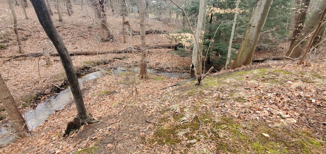 view of landscape