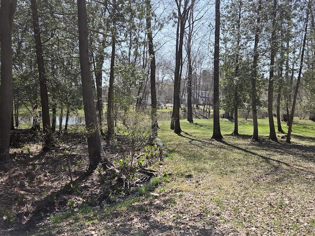 3075 Mineral Springs Trl, Mount Pleasant, MI 48858 - view of local wilderness