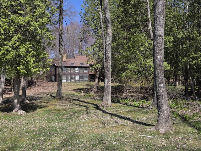 3075 Mineral Springs Trl, Mount Pleasant, MI 48858 - view of grassy yard