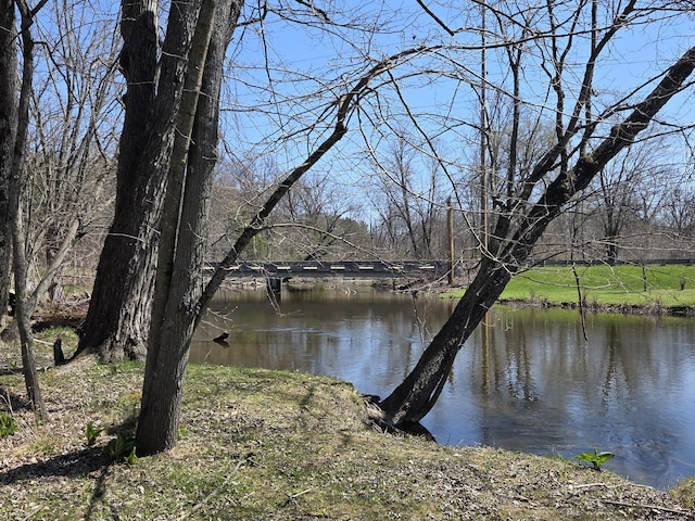 3075 Mineral Springs Trl, Mount Pleasant, MI 48858 - water view