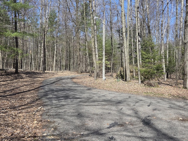 3075 Mineral Springs Trl, Mount Pleasant, MI 48858 - view of road featuring a forest view and street lighting