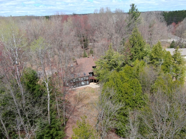 3075 Mineral Springs Trl, Mount Pleasant, MI 48858 - view from above of property with a heavily wooded area