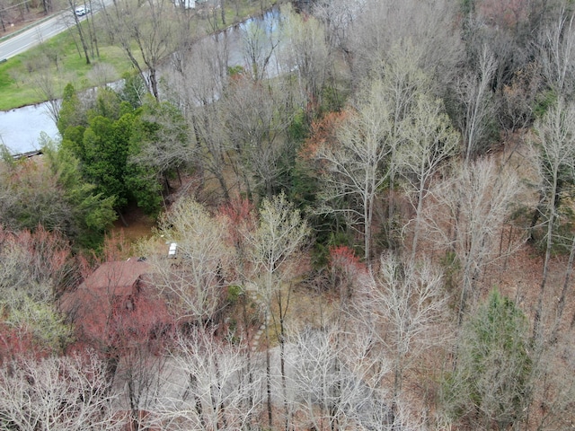 3075 Mineral Springs Trl, Mount Pleasant, MI 48858 - aerial view
