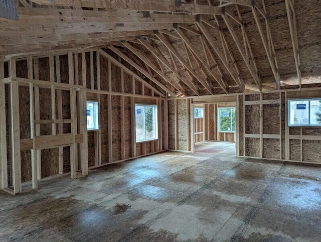 miscellaneous room with lofted ceiling