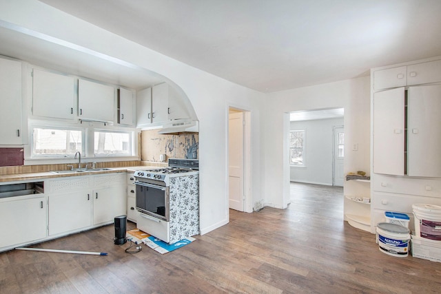 kitchen featuring plenty of natural light, wood finished floors, white gas stove, under cabinet range hood, and a sink