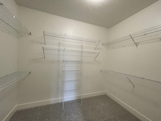 spacious closet featuring carpet