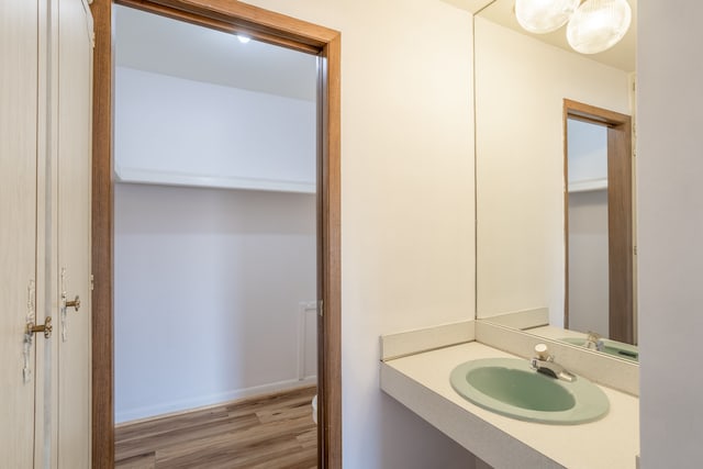 bathroom with wood finished floors and vanity