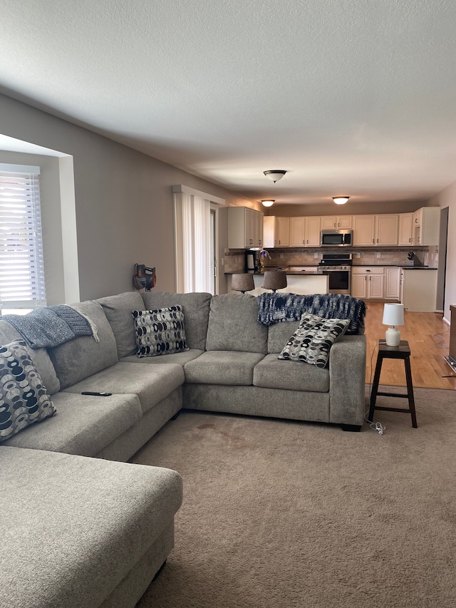 living room with a textured ceiling