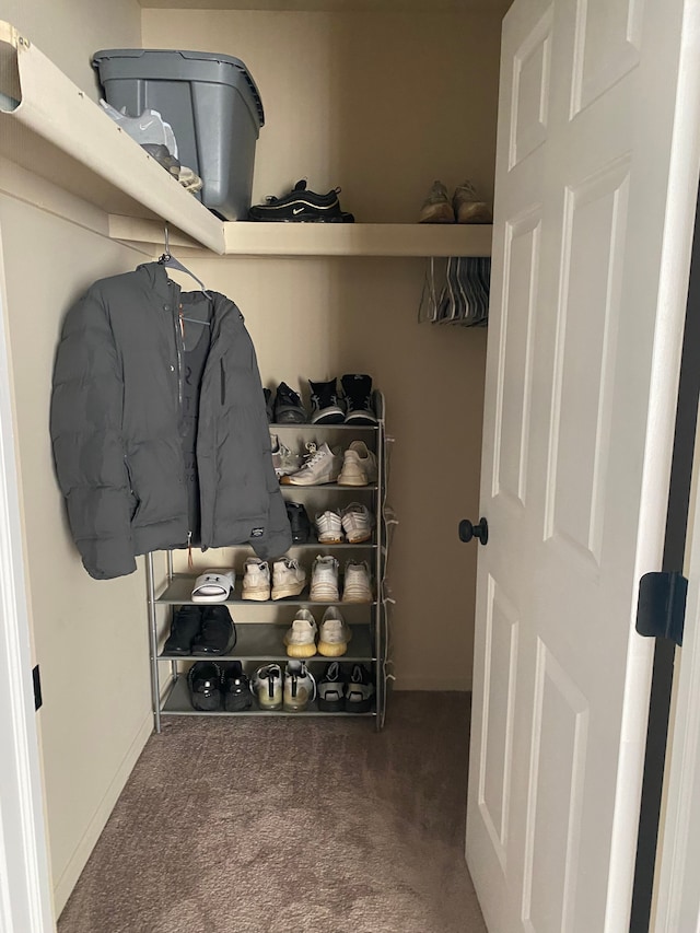 walk in closet with carpet floors