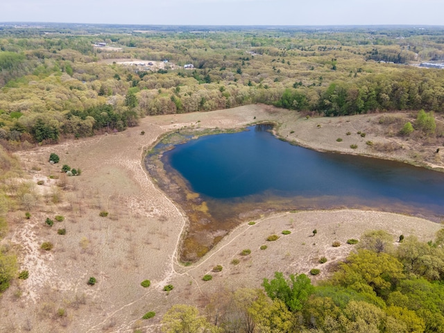 drone / aerial view with a water view and a forest view