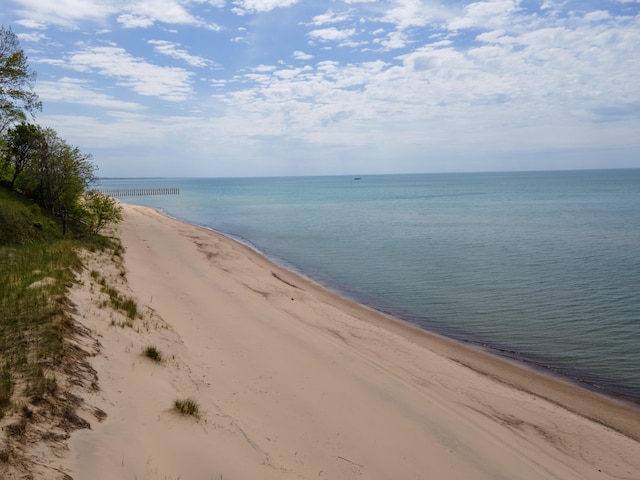 water view featuring a beach view