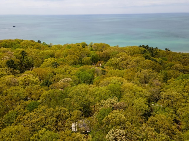 bird's eye view featuring a water view and a wooded view