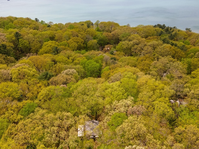 aerial view with a forest view