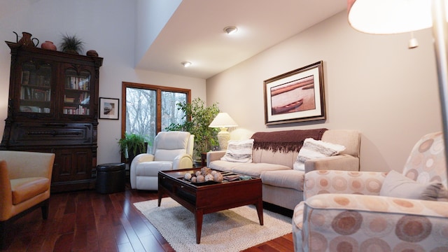 living area featuring dark wood-type flooring