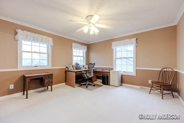 office area with crown molding, carpet flooring, ceiling fan, a textured ceiling, and baseboards