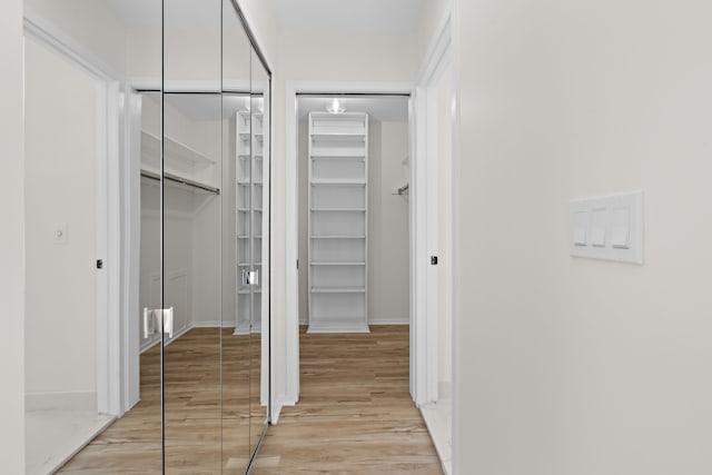 walk in closet featuring light wood-style flooring