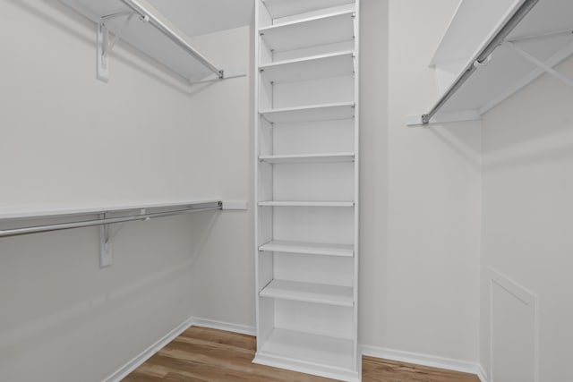 spacious closet featuring wood finished floors