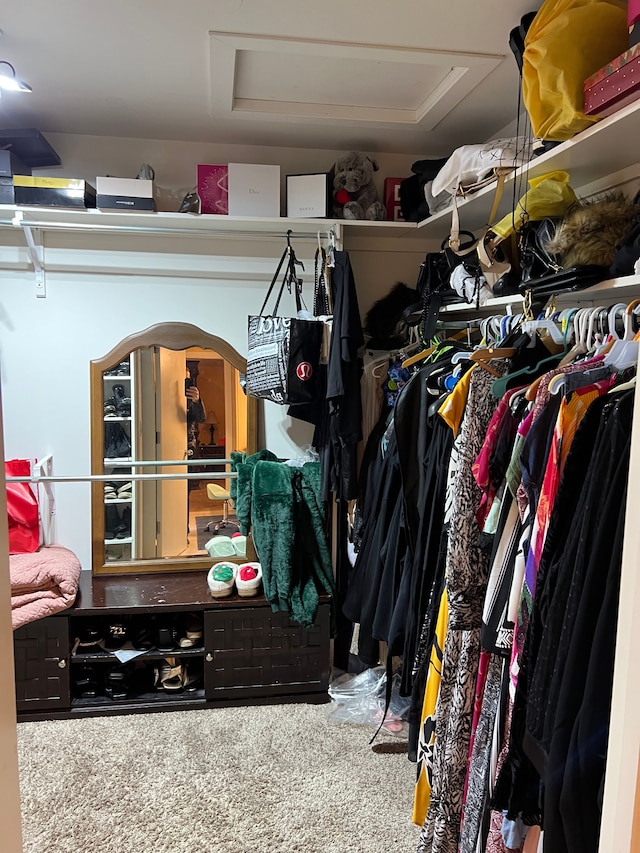 walk in closet featuring carpet floors