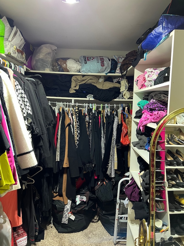 spacious closet with carpet floors