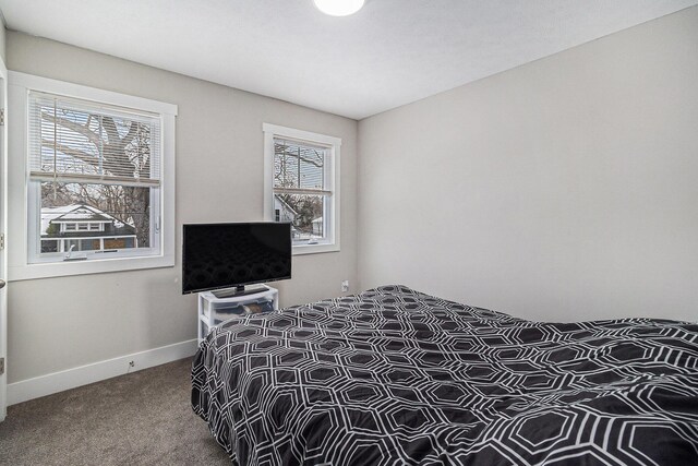 bedroom with baseboards and carpet flooring