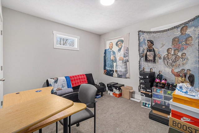 office area featuring carpet flooring