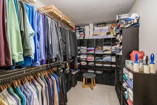 spacious closet with carpet