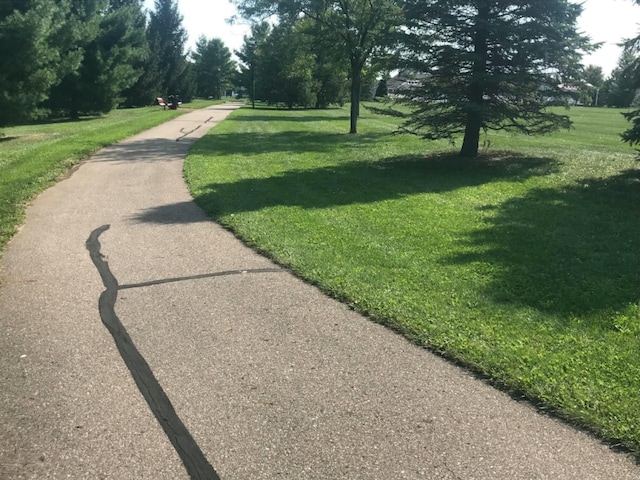 view of community featuring a yard