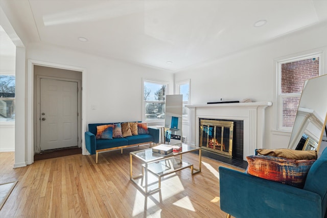 living room with a glass covered fireplace and light wood-style flooring