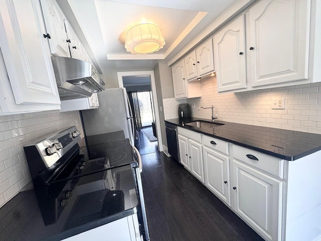 kitchen featuring under cabinet range hood, a sink, appliances with stainless steel finishes, a tray ceiling, and dark countertops