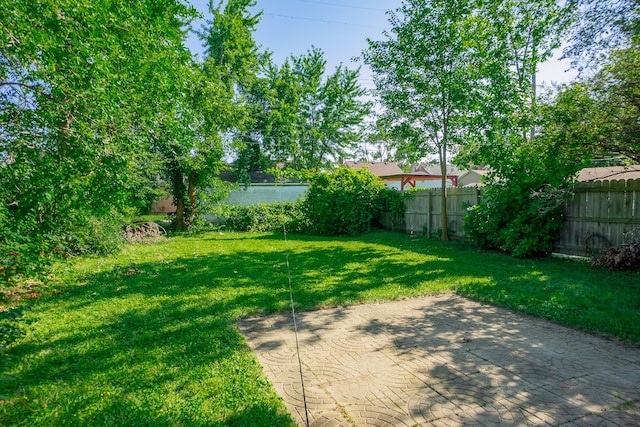 view of yard featuring a patio area and a fenced backyard