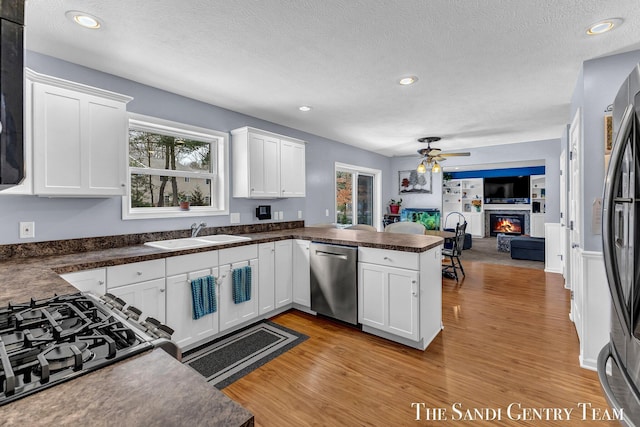 kitchen featuring stainless steel appliances, a glass covered fireplace, open floor plan, a sink, and a peninsula