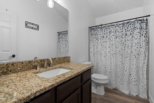 bathroom with toilet, a shower with curtain, wood finished floors, and vanity