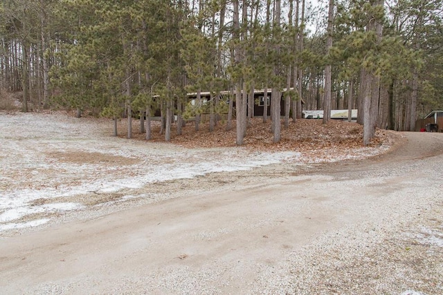 view of road featuring dirt driveway