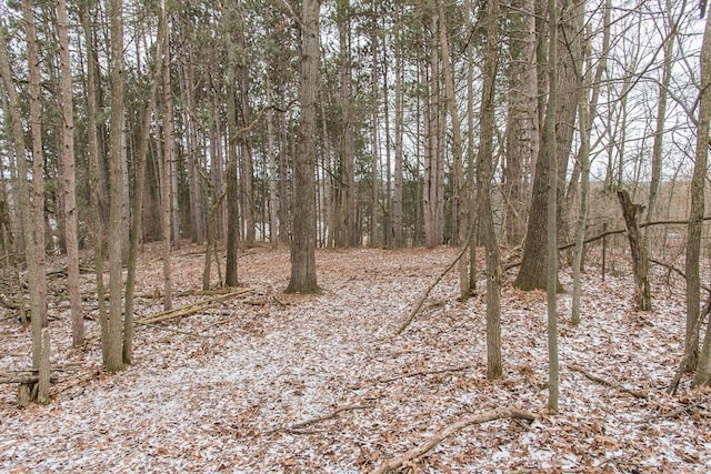 view of local wilderness