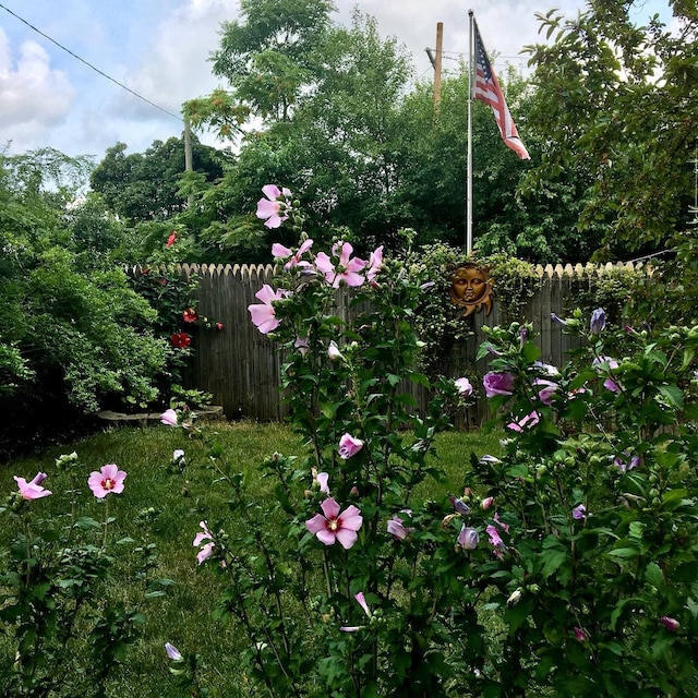 view of yard with fence