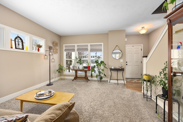 living area with carpet floors, a textured ceiling, and baseboards