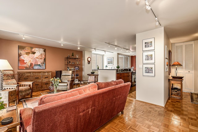 living area featuring rail lighting