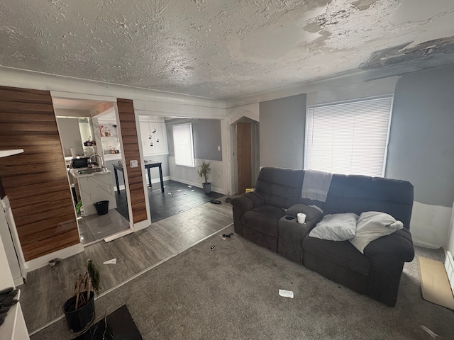 living room featuring wood finished floors and a textured ceiling