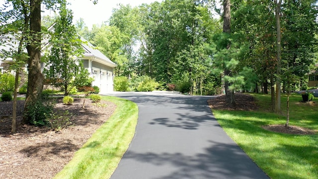 view of street with aphalt driveway