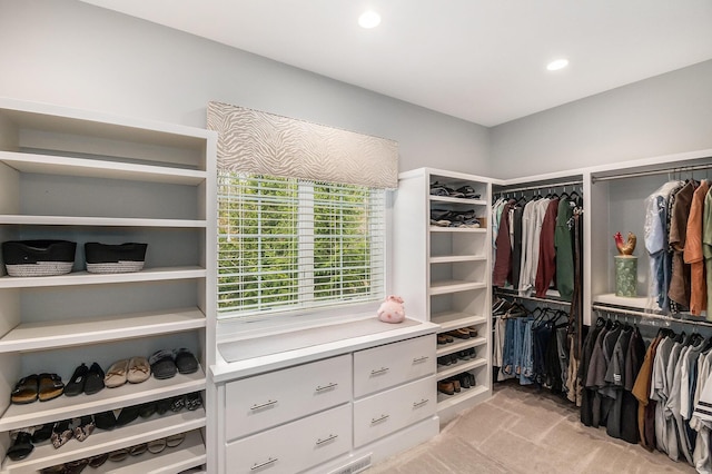 spacious closet with light carpet