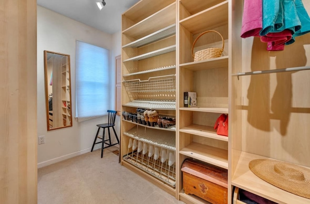 walk in closet with carpet flooring