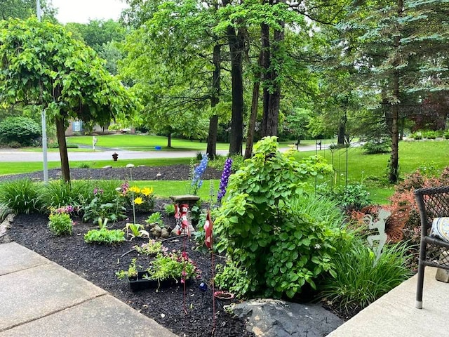 view of home's community with a lawn